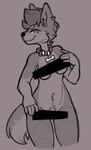 anthro bag_of_lewds biped breasts canid canine censor_bar collar covering ear_piercing ear_ring female female_anthro mammal navel navel_piercing physical_censor_bar piercing pubes ring_piercing smug solo tail teri_(bag_of_lewds)