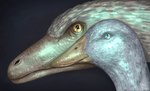 absurd_res ambiguous_gender anatid anseriform avian beak bird blue_eyes dinosaur dromaeosaurid duck duo feathered_dinosaur feathered_scalie feathers feral glistening glistening_eyes glowing hi_res meteor prehistoric_species reflection_in_eyes reptile sanstitre2000 scales scalie simple_background size_difference tan_body tan_feathers theropod white_body white_feathers yellow_eyes