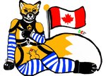 animal_genitalia anthro arm_warmers armwear balls bandanna bondage_gear bondage_gloves canada canadian_flag canid canine clothing colors!_3d_(artwork) countershading crossgender cuff_(restraint) digital_media_(artwork) drepicfrag ember_the_firesmart_fox femboy firesmartcanada flag flag_(object) fox ftm_crossgender genitals handwear harness kerchief legwear male mammal penis penis_tip restraints sheath simple_background sitting solo sounding_rod thigh_highs urethral white_background