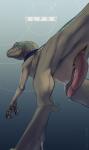 2015 animal_genitalia anus blue_(jurassic_world) blue_body blue_skin bodily_fluids brown_sclera claws crossgender digitigrade dinosaur dripping dromaeosaurid erection evalion feral genital_fluids genital_slit genitals grey_background grey_body grey_skin hi_res jurassic_park jurassic_world looking_at_viewer looking_back low-angle_view male nude penis pinup portrait pose precum prehistoric_species pubic_boot pupils rear_view reptile scalie simple_background slit_pupils solo tail theropod three-quarter_portrait universal_studios velociraptor worm's-eye_view