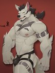 abs anthro areola bulge canid canine canis clothing dated hair hi_res jockstrap looking_at_viewer male mammal munax_od muscular muscular_anthro muscular_male navel nipples simple_background solo underwear white_body wolf