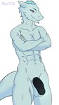 9:16 anthro black_penis blue_eyes crossed_arms farrythedragon genitals hi_res kane_decobray male mature_male muscular muscular_anthro muscular_male nude penis sergal solo tail