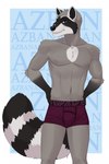 anthro athletic azban blue_eyes clothed clothing hi_res male mammal mostly_nude pose posing_for_picture procyonid raccoon sajophoe shirtless shirtless_male smile solo underwear underwear_only