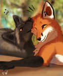 Rating: s
ID: 3766907
Date: 2022-12-23 02:39:48 -0500
Status: active
Score: 54
2022 ambiguous_gender black_body black_fur black_nose canid canine digital_drawing_(artwork) digital_media_(artwork) duo feral flashw fox fur grey_body grey_fur mammal orange_body orange_eyes orange_fur red_fox silver_fox smile true_fox white_body white_fur post #3766907