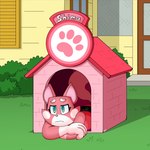 Rating: s
ID: 4492910
Date: 2023-12-24 22:10:47 -0500
Status: active
Score: 68
1:1 2023 anthro bad_metadata blue_eyes building claws clothed clothing doghouse domestic_cat eyelashes family_guy felid feline felis female fur glaseeboy glistening glistening_eyes grass hi_res house mammal md5_mismatch meme narrowed_eyes outside pink_body pink_fur plant shaded shadow shima_luan solo super_planet_dolan tired white_nose post #4492910
