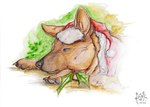 Rating: s
ID: 5321307
Date: 2025-01-21 07:08:45 -0500
Status: active
Score: 0
2011 ambiguous_gender artist_logo brown_body brown_eyes brown_fur canid canine canis christmas christmas_clothing christmas_headwear clothing dated domestic_dog feral fur hat headgear headwear holidays kola_(artist) logo lying mammal mouth_closed on_front santa_hat side_view signature solo traditional_media_(artwork) post #5321307