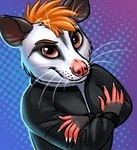 american_opossum anthro clothing hair jacket leather leather_clothing leather_jacket leather_topwear male mammal marsupial red_hair solo topwear violet_opossum_typewriter