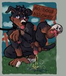 Rating: e
ID: 3725019
Date: 2022-12-01 15:44:43 -0500
Status: active
Score: 127
anthro balls blush bodily_fluids bracelet breaking_the_rules breasts breath canid canine canis collar crouching curled_fur curly_hair domestic_dog flaccid fupa fur genital_fluids genitals gynomorph gynomorph_peeing hair hi_res instruction instruction_on_sign intersex intersex_peeing jewelry leash leashed_collar looking_at_viewer mammal marking_territory mastiff mixed_breed molosser nipples nude outside panting pawpads paws peeing peeing_outside penis planted_sign poodle prohibition_sign public public_urination raised_leg rottweiler roux_(shadyhouse) shadyhouse sign sketch solo thick_thighs tongue tongue_out urine urine_pool urine_stream walkies post #3725019