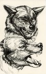 Rating: s
ID: 5584260
Date: 2025-05-19 17:06:54 -0400
Status: active
Score: 3
absurd_res ambiguous_gender angry anthro bared_teeth black_and_white black_nose bust_portrait canid canine canis digital_media_(artwork) disembodied_head domestic_dog duo ears_back fangs feral fur greyscale hatching_(art) headshot_portrait hi_res ink inner_ear_fluff line_art lips looking_at_another looking_at_viewer male mammal monochrome open_mouth pen_(artwork) pivoted_ears portrait realistic shaded sharp_teeth side_view signature simple_background sketch smile snarling snout solo teeth teeth_showing tongue tongue_out traditional_media_(artwork) tuft werecanid werecanine werecreature white_background wolf zaverose post #5584260