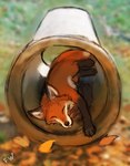 Rating: s
ID: 3649841
Date: 2022-10-25 19:42:55 -0400
Status: active
Score: 96
2022 ambiguous_gender canid canine day detailed_background digital_drawing_(artwork) digital_media_(artwork) feral flashw fox mammal outside red_fox sleeping solo true_fox post #3649841