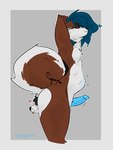 Rating: e
ID: 5229317
Date: 2024-12-07 19:27:27 -0500
Status: active
Score: 236
3:4 abdominal_bulge almost_fully_inside anal anal_vore anthro back_markings black_body black_fur blue_hair blue_penis brown_body brown_fur bulge butt butt_heart canid canine canis curled_tail curvy_figure domestic_dog duo endosoma erection eyewear femboy fluffy fluffy_tail fur genitals glasses gurglegluts hair heart_symbol hi_res husky jay_(gurglegluts) living_buttplug living_insertion long_hair male male/male male_pred male_prey mammal markings mixed_breed nate_(natethehusky) neck_tuft nordic_sled_dog nude penis safe_vore shepsky spitz stretching tail tuft voluptuous vore white_body white_fur post #5229317