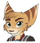 anthro brown_stripes cheek_tuft clothing eyebrows facial_tuft fur green_eyes hi_res kaden_(ratchet_and_clank) littlelombaxart lombax looking_at_viewer male mammal neck_tuft portrait ratchet_and_clank solo sony_corporation sony_interactive_entertainment striped_body striped_fur stripes tuft yellow_body yellow_fur