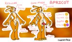 animal_genitalia animal_penis anthro apricot_(yare) balls canine_genitalia canine_penis claws erection fully_sheathed fur genitals heterochromia knot laerwolf lagomorph leporid male mammal model_sheet navel nude orange_body orange_fur penis rabbit shaggy_fur sheath short_tail solo standing tail theenyface