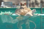 2022 anthro barazoku clothing detailed_background duo grey_body humanoid_hands jokjaebissi kemono male mammal mouse murid murine muscular muscular_male mustelid musteline rodent swimming_pool swimwear true_musteline weasel white_body