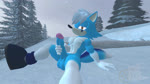 16:9 3d_(artwork) 3d_animation animated anthro avian balls big_penis bird bliz_(abiogenesis01) blue_body blue_fur branch canid canine clothing cold digital_media_(artwork) evergreen_tree facial_markings fan_character flying footwear forest fox fur genitals head_markings hi_res high_framerate juicyducksfm looking_at_viewer looking_away male mammal markings masturbation no_sound nude open_mouth orange_eyes penile penile_masturbation penis pine_tree plant sega shoes short_playtime sitting snow snowflake solo sonic_the_hedgehog_(series) source_filmmaker_(artwork) tree webm white_body white_fur widescreen winter