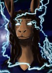 absurd_res anthro cloud deltav electricity female hi_res kangaroo lightning low_tier_god macropod mammal marsupial ruby_(comfycreations) solo you_should_kill_yourself_now_(meme)