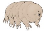 Rating: s
ID: 4733050
Date: 2024-04-20 22:57:55 -0400
Status: active
Score: 10
4_toes 8_legs ambiguous_gender bald claws colored digital_drawing_(artwork) digital_media_(artwork) dreamscreep earless eyeless fat_rolls feet feral hi_res light lighting long_claws multi_limb noseless nude octoped open_mouth procreate_(artwork) realistic_anatomy simple_background simple_lighting solo standing tan_body tan_skin tardigrade toe_claws toes white_background wrinkled_feet wrinkled_legs wrinkled_skin wrinkles wrinkly_face post #4733050