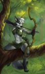 5_fingers anthro arrow_(weapon) black_bars black_nose blue_eyes bow_(weapon) breasts canid canine clothing day demicoeur detailed_background digital_media_(artwork) female fingers grey_hair hair hi_res holding_object holding_weapon mammal midriff navel outside quiver_(object) ranged_weapon solo twis_(character) weapon