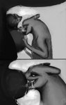 Rating: e
ID: 5541728
Date: 2025-05-01 12:22:05 -0400
Status: active
Score: 82
animal_genitalia anthro balls big_balls bodily_fluids comic corvidtree dragon duo feral genital_fluids genitals hi_res larger_feral licking lizard lizard_(rain_world) male male/male musk musk_clouds musky_penis mythological_creature mythological_scalie mythology precum rain_world red_lizard_(rain_world) reptile scalie sex sheath sheath_kiss sheath_play size_difference slugcat sniffing snout_in_sheath tongue tongue_in_sheath videocult post #5541728