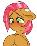 4:5 absurd_res aged_up babs_seed_(mlp) blush blush_lines bust_portrait cutie_mark ear_piercing ear_ring earth_pony embarrassed equid equine etoz featherweight_(mlp) female feral freckles friendship_is_magic green_eyes hair hasbro hi_res horse jewelry mammal my_little_pony piercing pony portrait red_hair ring_piercing shy simple_background solo watermark white_background wingding_eyes