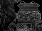 Rating: e
ID: 5354636
Date: 2025-02-06 00:26:36 -0500
Status: active
Score: 15
anthro autocannibalism autocastration black_body body_horror castration cock_and_ball_torture cooking_with_furs felid genital_mutilation genital_scar genital_torture genitals glansectomy gore graphite_(artwork) grilling hairless_body hard_vore hi_res hyper male mammal monochrome mutilation orchiectomy_scar pain pantherine penectomy rhymald rhymald_(rhymald) roasted sacrifice scar self-harm serving_food size_difference smaller_pred solo tiger torture traditional_media_(artwork) vore willing_amputee willing_prey post #5354636