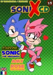 amy_rose anthro bodily_fluids camel_toe classic_amy_rose classic_sonic classic_sonic_(universe) clothed clothing comic cover cover_art cover_page duo english_text eulipotyphlan female footwear heart_symbol hedgehog hi_res male male/female mammal panties pronounced_browridge raianonzika sega shoes sonic_the_hedgehog sonic_the_hedgehog_(series) sweat sweatdrop text thin_calves thin_legs thin_thighs topless underwear wide_hips