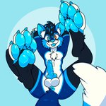 1:1 absurd_res anthro anus balls black_body black_fur black_hair blep blue_background blue_highlights blue_pawpads butt canid canine cheek_tuft chest_tuft erection facial_tuft feet foot_focus fox fur genitals hair heterochromia hi_res highlights_(coloring) hybrid_genitalia hybrid_penis inner_ear_fluff knot lying male mammal on_back pawpads paws penis presenting presenting_balls presenting_penis simple_background smile solo tongue tongue_out tuft vein veiny_penis white_body white_fur wide_eyed xing1