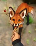 Rating: s
ID: 3563920
Date: 2022-09-13 01:58:40 -0400
Status: active
Score: 161
2022 ambiguous_gender black_body black_fur canid canine digital_drawing_(artwork) digital_media_(artwork) duo feral flashw fox fur heart_symbol human mammal open_mouth orange_body orange_fur red_fox teeth tongue true_fox post #3563920
