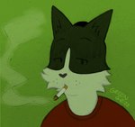 anthro artist_name black_body black_fur black_nose bust_portrait cheek_tuft cigarette cigarette_in_mouth cigarette_smoke clothed clothed_anthro clothed_male clothing colored digital_drawing_(artwork) digital_media_(artwork) domestic_cat dot_eyes facial_tuft felid feline felis fur green_background greengrizz half-closed_eyes hi_res lit_cigarette looking_at_viewer male mammal multicolored_body multicolored_fur narrowed_eyes object_in_mouth portrait red_clothing red_shirt red_topwear shirt simple_background smoke smoking smoking_cigarette solo thin_eyebrows topwear tuft two_tone_body two_tone_fur whisker_spots white_body white_fur