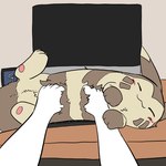 post #5601513