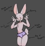 2023 5_fingers anthro black_background buckteeth bulge clothing detailed_bulge english_description english_text eyebrows fingers fur genital_outline gesture hand_gesture happy hirowo lagomorph leporid looking_at_viewer male mammal navel open_mouth penis_outline purple_clothing purple_underwear rabbit simple_background solo tail teeth text underwear v_sign white_body white_fur