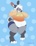 2018 anthro belly big_belly blue_bottomwear blue_clothing blush bottomwear clothed clothing dated dotted_background femboy front_view full-length_portrait fur glistening glistening_eyes grey_body grey_fur hair hi_res hoodie hotpants inner_ear_fluff lagomorph leporid male mammal navel orange_clothing orange_hoodie orange_topwear overweight overweight_anthro overweight_male pattern_background portrait purple_eyes rabbit shorts signature simple_background solo standing tiggybloom topwear tuft white_hair white_inner_ear_fluff