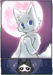 post #5174117