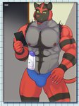 2020 3:4 abs absurd_res allan_(zourik) anthro black_body black_fur bulge claws clothing detailed_bulge electronics facial_hair felid feline fur generation_7_pokemon genital_outline hi_res incineroar male mammal meme muscular muscular_anthro muscular_male nintendo nipples pecs penis_outline phone pokemon pokemon_(species) red_body red_fur shampoo_challenge solo stripes underwear zourik