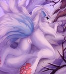 Rating: e
ID: 5651443
Date: 2025-06-18 15:58:46 -0400
Status: active
Score: 71
9_tails all_fours alolan_form alolan_ninetales anthro anus blue_body blue_eyes blue_fur branch butt canid canine cheek_tuft claws colored facial_tuft female fluffy fluffy_hair fluffy_shoulders fluffy_tail forest forest_background fur generation_7_pokemon genitals hair hand_on_object happy hi_res joeumbre light lighting long_hair looking_back mammal multi_tail nature nature_background nintendo open_mouth pawpads plant pokemon pokemon_(species) pokemorph presenting presenting_hindquarters regional_form_(pokemon) shaded smile smiling_at_viewer snow solo tail tree tuft vaginal vulva white_body white_fur post #5651443