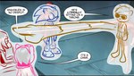 Rating: s
ID: 5074984
Date: 2024-09-25 22:32:12 -0400
Status: active
Score: 63
2024 absurd_res accessory amy_rose anthro belt biped cape chest_tuft clothed clothing dc_comics dialogue digital_media_(artwork) draw_over echidna english_text eulipotyphlan eyelashes eyewear female footwear gesture glasses group hair_accessory hairband hand_gesture he's_literally_sitting_on_a_throne hedgehog hi_res idw_publishing knuckles_the_echidna lemur long_legs male mammal markings meme metalapplesauce micro_calves micro_legs micro_thighs monotreme narrow_hips outline plastic_man pointing pointing_at_another pointy_ears prehensile_tail prick_ears primate round_ears sega shoes sitting sketch socks sonic_the_hedgehog sonic_the_hedgehog_(comics) sonic_the_hedgehog_(idw) sonic_the_hedgehog_(series) speech_bubble standing strepsirrhine striped_markings striped_tail stripes superman tail tail_markings tangle_the_lemur text the_flash thin_calves thin_legs thin_thighs third-party_edit tuft white_outline wonder_woman post #5074984