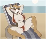 Rating: e
ID: 5564705
Date: 2025-05-11 13:40:02 -0400
Status: active
Score: 69
2025 4_toes anthro areola barefoot beach big_breasts bikini bikini_bottom bikini_top black_nose breasts brown_body brown_fur canid canine canis clothed clothing coyote feet female fur genitals grey_body grey_fur hi_res hindpaw mammal manzanita multicolored_body multicolored_fur navel nipple_outline paws pussy sea signature skimpy skimpy_bikini smile solo spicychaikitten swimwear tan_body tan_fur toes two-piece_swimsuit water post #5564705