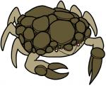 2017 6_legs alternate_species ambiguous_gender arthropod brown_body brown_exoskeleton bugdex crab crustacean decapoda digital_drawing_(artwork) digital_media_(artwork) dot_eyes elemental_creature exoskeleton fakemon feral front_view full-length_portrait generation_1_pokemon golem_(pokemon) hexapod malacostracan marine mineral_fauna multi_leg multi_limb multicolored_body multicolored_exoskeleton nintendo pincers pokemon pokemon_(species) portrait red_eyes ricky_hoffman rock rock_crab rock_creature simple_background solo standing tan_body tan_exoskeleton toony two_tone_body two_tone_exoskeleton white_background