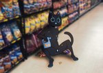 Rating: e
ID: 3635380
Date: 2022-10-18 15:53:19 -0400
Status: active
Score: 82
anthro anthrofied anus bellabot black_body black_fur blue_nipples blurred_background breasts chips_(food) claws domestic_cat felid feline felis female food full-length_portrait fur genitals grocery_store holding_object luneluma machine mammal nipples nude open_mouth pawpads paws photo_background photography_(artwork) portrait pudu_robotics robot screen screen_face sitting solo store vulva post #3635380