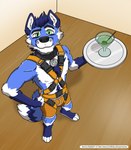 2021 4_toes alcohol anthro artist_name beverage black_snout blue_body blue_fur blue_hair boxers_(clothing) braxton_(eric-martin) canid canine clothing cocktail collar collar_tag feet floor food fox fruit fur green_eyes hair harness hi_res high-angle_view inside kemira looking_at_viewer male mammal multicolored_body multicolored_fur olive_(fruit) orange_boxers orange_clothing orange_harness orange_underwear plant serving_tray smile smirk solo standing tail text toes tray two_tone_body two_tone_fur underwear url waiter white_body white_fur wood wood_floor