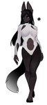 anthro areola biped black_hair black_nose black_tail breasts canid clothed clothed_anthro clothed_female clothing digital_media_(artwork) ears_up english_description eyebrows eyelashes female female_anthro fluffy fluffy_tail full-length_portrait fur glistening glistening_eyes gradient_tail grey_tail hair hi_res kambo kemono leotard long_hair looking_away mammal mouth_closed multicolored_tail navel portrait red_eyes simple_background solo standing tail topwear white_background white_clothing white_leotard white_topwear