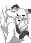 2015 akafude_(tsukune_minaga) ambiguous_gender canid canine canis comic digital_media_(artwork) dipstick_ears domestic_dog duo ear_markings feral fluffy fox gloves_(marking) greyscale halftone hi_res mammal markings monochrome multicolored_ears open_mouth shiranui_(tsukune_minaga) tongue tongue_out tsukune_minaga