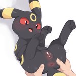 post #4884209