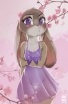 Rating: e
ID: 4049544
Date: 2023-05-13 10:20:25 -0400
Status: active
Score: 191
accessory anthro blush bottomless bow_(feature) breasts cherry_blossom cherry_blossom_tree cherry_tree clothed clothing commando countershade_face countershade_fur countershade_torso countershading digital_media_(artwork) disney eyelashes female flower flower_in_hair fruit_tree fur genitals grey_body grey_fur hair hair_accessory hi_res judy_hopps lagomorph leporid lingerie looking_at_viewer mammal navel nipple_outline nipples no_bra no_underwear outside plant prunus_(flower) purple_clothing purple_eyes purple_topwear pussy rabbit rin_tyan solo standing thigh_gap topwear translucent translucent_clothing tree zootopia post #4049544