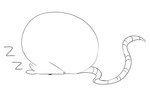 2020 ambiguous_gender black_and_white curled_up digital_drawing_(artwork) digital_media_(artwork) faceplant feral full-length_portrait fur long_tail maddeku mammal monochrome murid murine overweight overweight_ambiguous overweight_feral portrait quadruped rat rat_tail rodent round_ears side_view simple_background sketch sleeping snout solo sound_effects tail vowelless vowelless_sound_effect white_background zzz