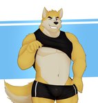 2024 5_fingers absurd_res acario_(artist) anthro athletic_wear black_bottomwear black_clothing black_shirt black_shorts black_tank_top black_topwear bottomwear bottomwear_pull bulge canid canine canis clothed clothing clothing_lift clothing_pull cooper_krager fingers fluffy fluffy_tail front_view fur gym_bottomwear gym_shorts half-length_portrait hi_res hotpants humanoid_hands male mammal midriff multicolored_body multicolored_fur navel one_eye_closed pants pants_pull pecs portrait remember_the_flowers scar shirt shirt_lift shorts simple_background smile solo standing tail tan_body tan_fur tank_top teeth topwear two_tone_body two_tone_fur wink wolf yellow_body yellow_fur