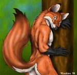 1998 anthro biped canid canine digital_media_(artwork) fox fur looking_at_viewer male mammal muscular muscular_anthro muscular_male nude plant shaded soft_shading solo tail tree wooky