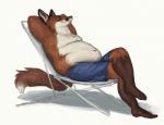 2019 anthro belly_overhang bottomwear canid canine cettus clothing crossed_legs digital_drawing_(artwork) digital_media_(artwork) dipstick_tail eyes_closed fox hands_behind_head inner_ear_fluff lawn_chair love_handles male mammal markings multicolored_body obese obese_anthro obese_male overweight overweight_anthro overweight_male plantigrade shorts simple_background sitting solo tail tail_markings tuft two_tone_body whiskers white_background