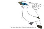 2015 ambiguous_gender avian bali_myna beady_eyes beak biped bird black_body black_eyes black_feathers black_tail black_wings blue_body blue_feathers blue_markings curious digital_drawing_(artwork) digital_media_(artwork) eye_markings facial_markings feather_tuft feathered_crest feathered_wings feathers featureless_feet feet feral folded_wings full-length_portrait head_crest head_markings jamminbison looking_up markings multicolored_body multicolored_feathers myna_(bird) neck_tuft open_beak open_mouth oscine passerine portrait side_view simple_background solo standing starling_(bird) tail tail_feathers text toony tuft two_tone_tail two_tone_wings url white_background white_body white_feathers white_tail white_wings winged_arms wings yellow_beak