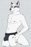 2024 anthro arm_tuft bedroom_eyes biped black_claws black_eyebrows blue_clothing blue_jockstrap blue_underwear body_hair bulge canid canine checkered checkered_background cheek_tuft claws clothed clothing detailed_bulge digital_drawing_(artwork) digital_media_(artwork) echo_(series) echo_project elbow_tuft erection erection_under_clothing eye_markings eyebrows facial_markings facial_tuft fox fur grey_nipples grey_nose hair hand_on_leg hand_on_thigh happy_trail head_markings hi_res inner_ear_fluff jim_sterling_(the_smoke_room) jockstrap jockstrap_only looking_at_viewer male male_anthro mammal markings multicolored_body multicolored_clothing multicolored_underwear narrowed_eyes navel nipples partially_clothed partially_clothed_male pattern_background portrait raised_eyebrow seductive simple_background slim solo standing the_smoke_room three-quarter_portrait toothy_grin topless tuft underwear underwear_only unsafescapewolf whiskers white_background white_body white_fur white_hair white_inner_ear white_inner_ear_fluff white_sclera yellow_eyes